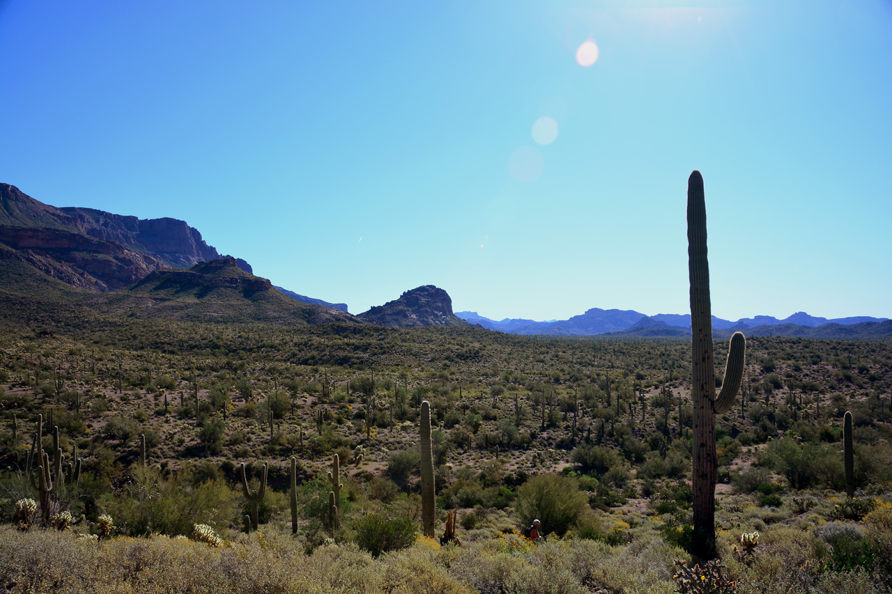 2016-03-24, 007, Hieroglyphic Trail, Tonto NF, AZ