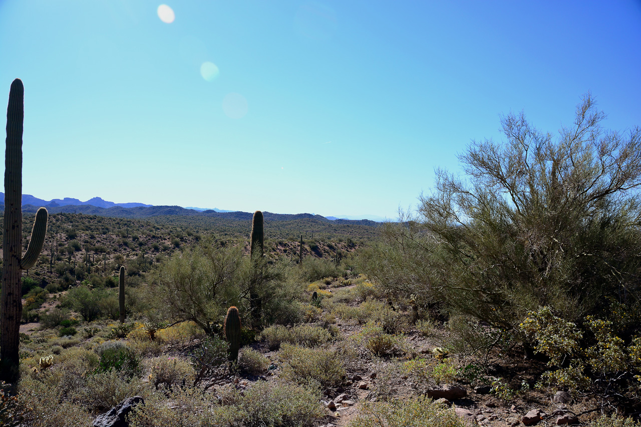 2016-03-24, 008, Hieroglyphic Trail, Tonto NF, AZ