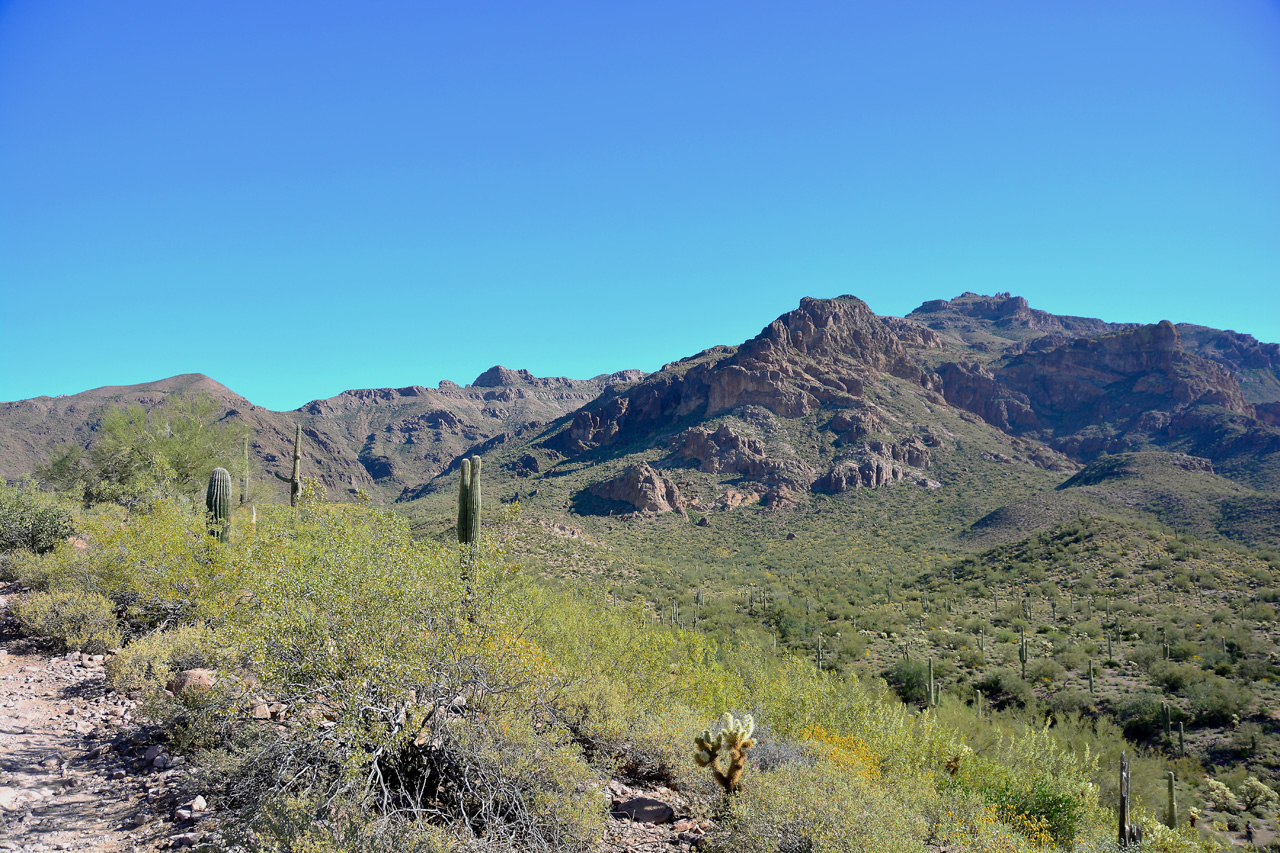 2016-03-24, 009, Hieroglyphic Trail, Tonto NF, AZ