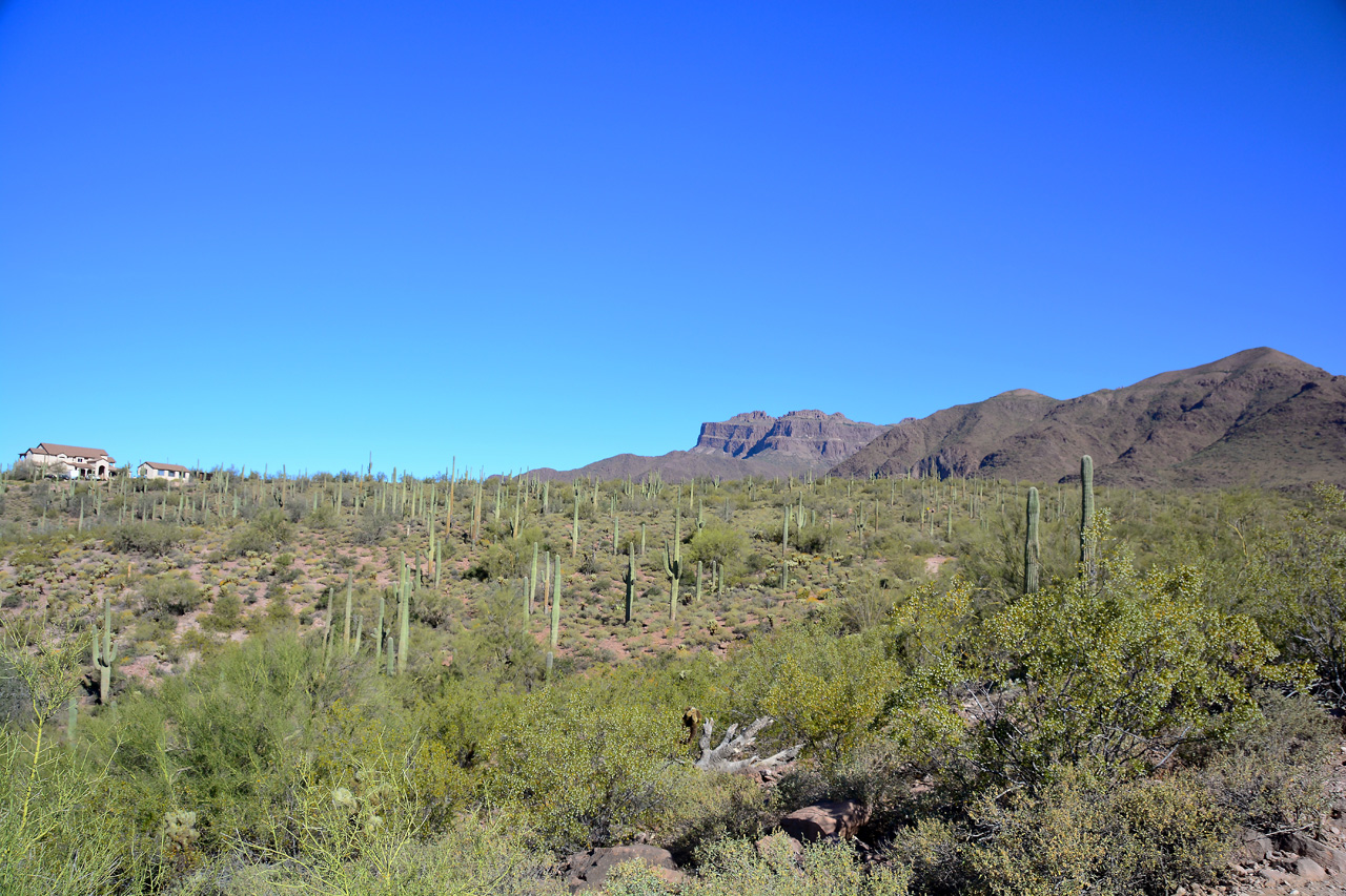 2016-03-24, 010, Hieroglyphic Trail, Tonto NF, AZ