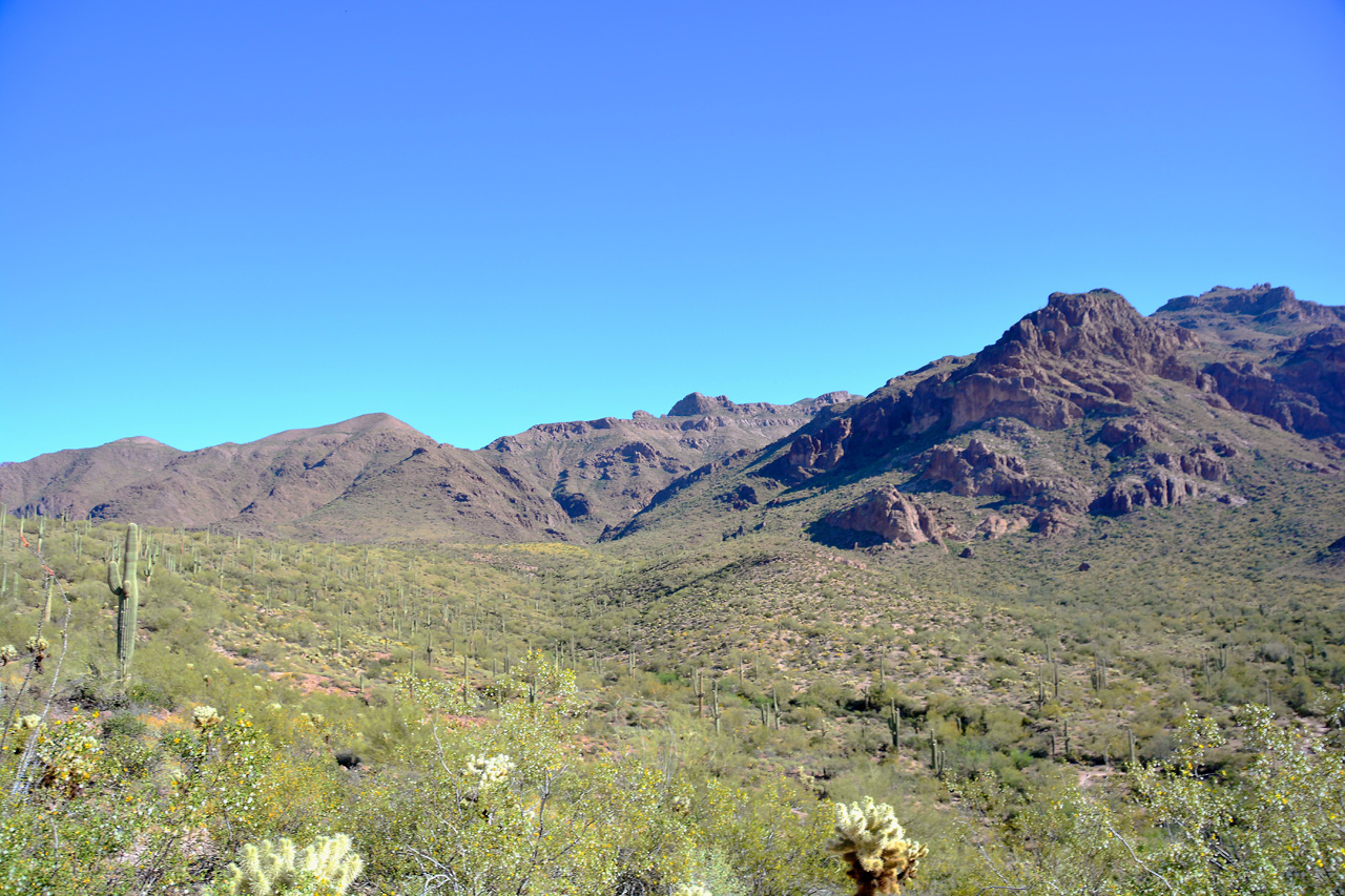 2016-03-24, 011, Hieroglyphic Trail, Tonto NF, AZ