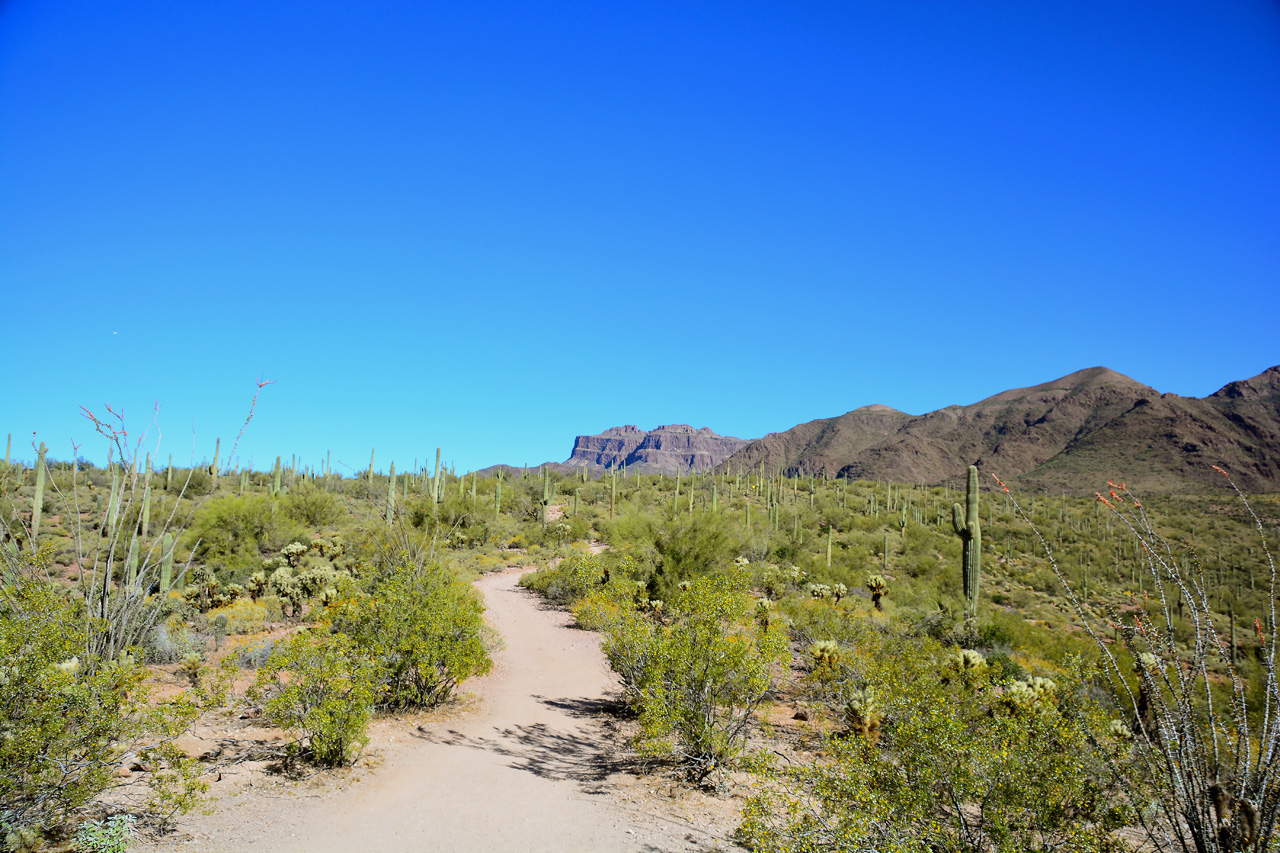 2016-03-24, 012, Hieroglyphic Trail, Tonto NF, AZ