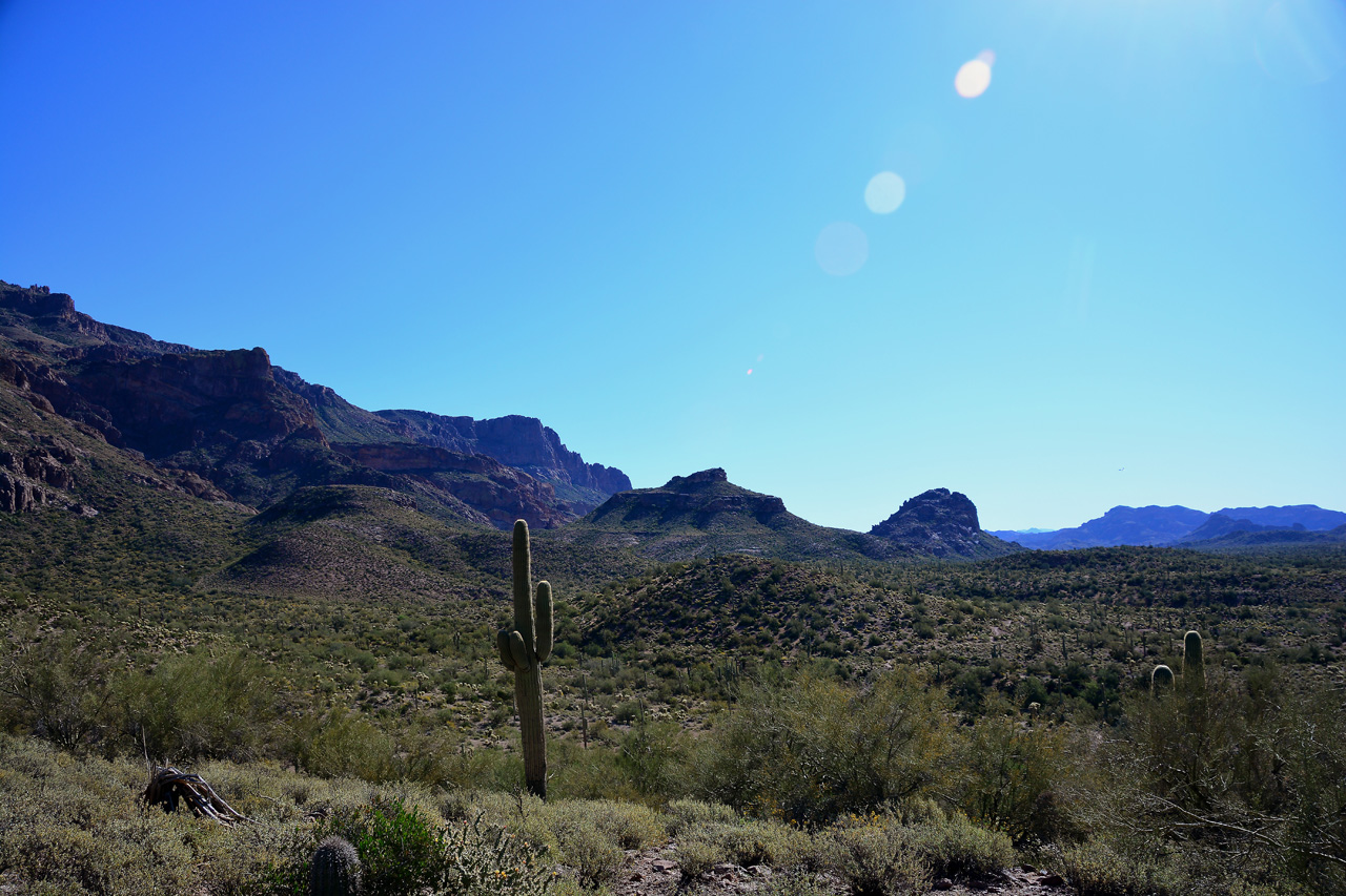 2016-03-24, 013, Hieroglyphic Trail, Tonto NF, AZ