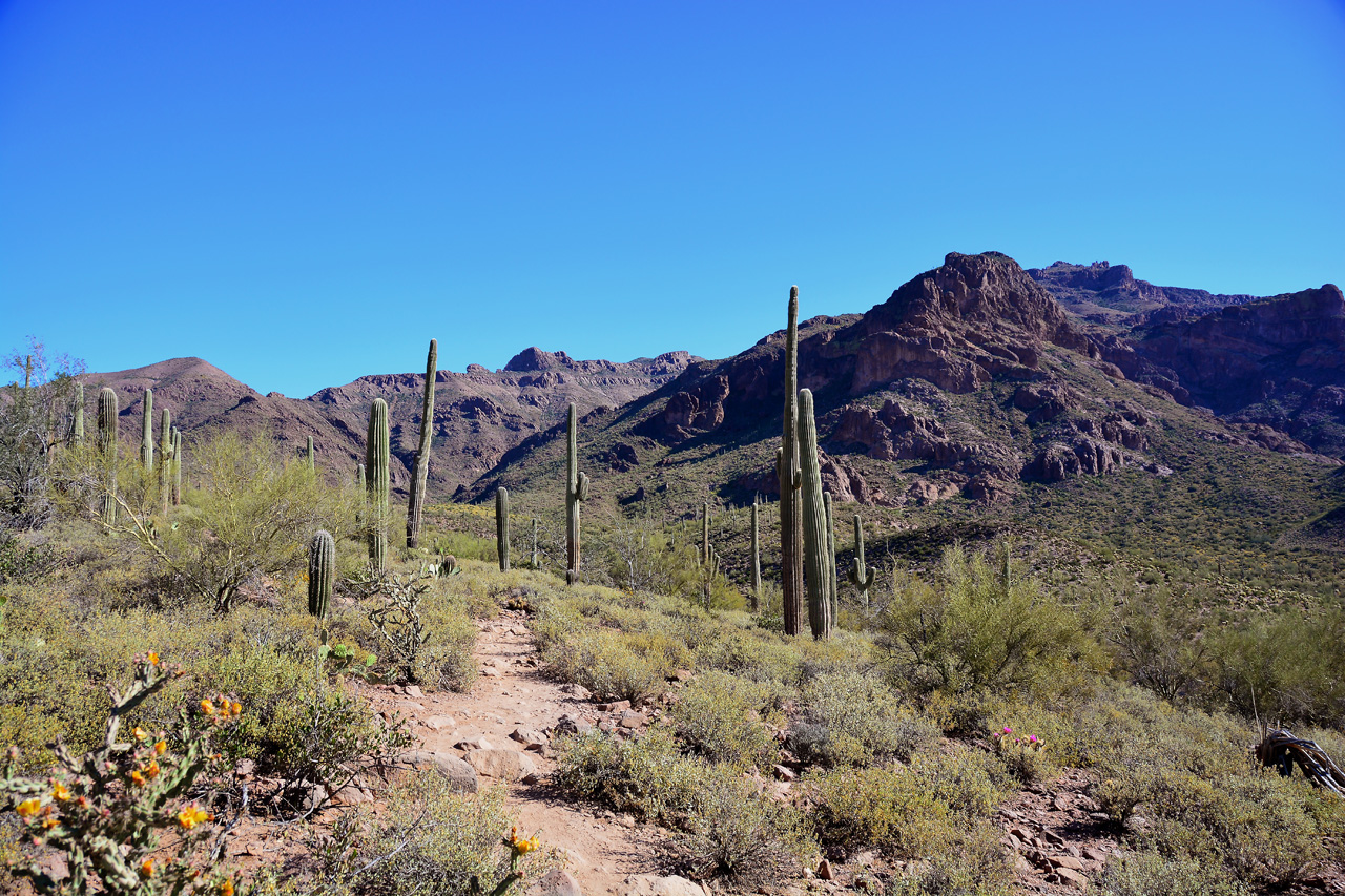 2016-03-24, 014, Hieroglyphic Trail, Tonto NF, AZ