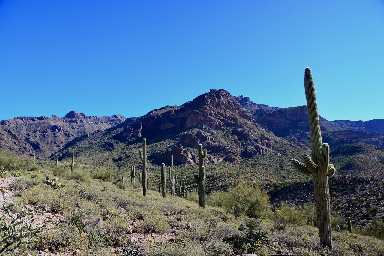 2016-03-24, 017, Hieroglyphic Trail, Tonto NF, AZ