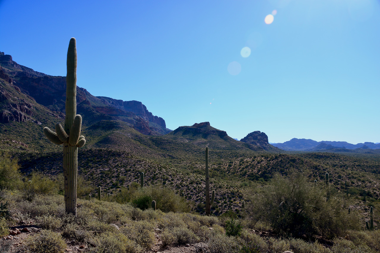 2016-03-24, 018, Hieroglyphic Trail, Tonto NF, AZ