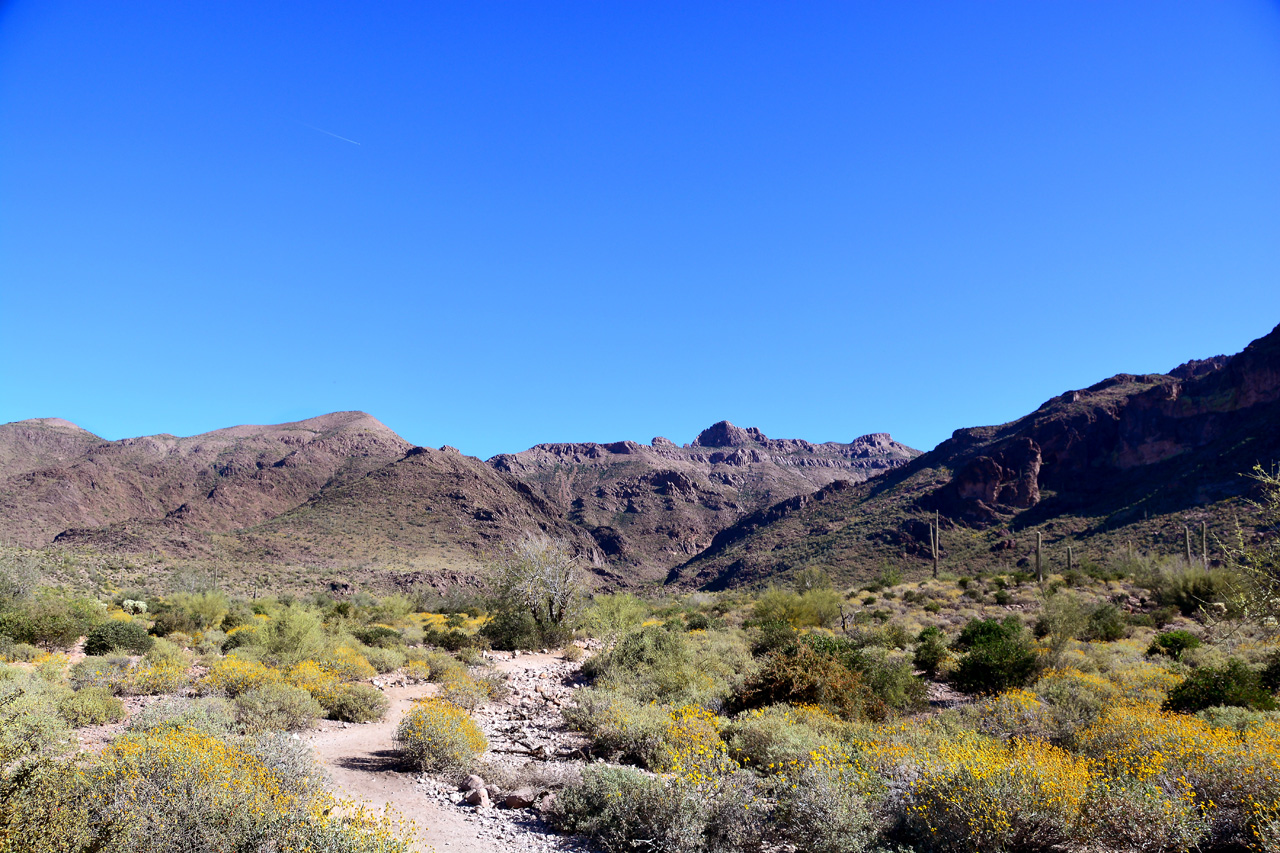 2016-03-24, 021, Hieroglyphic Trail, Tonto NF, AZ