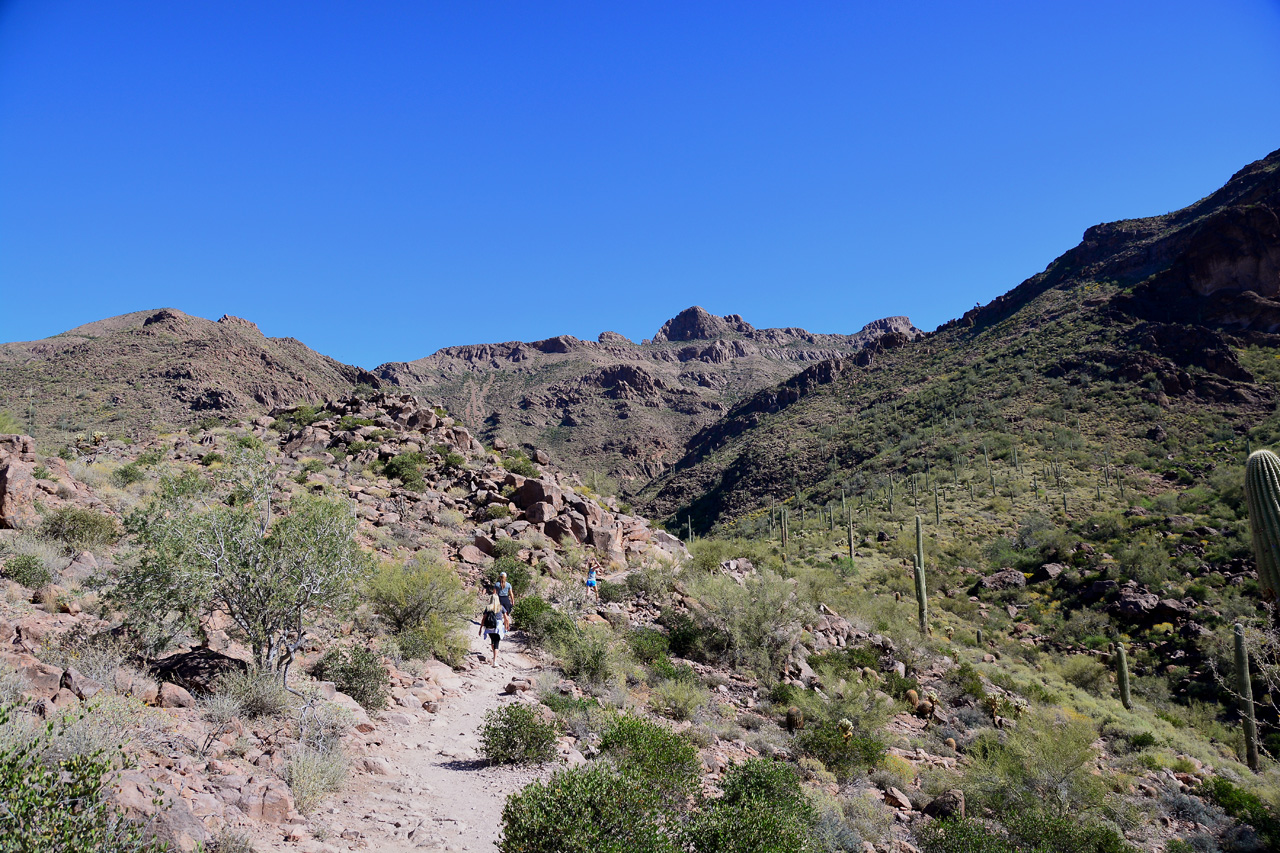 2016-03-24, 024, Hieroglyphic Trail, Tonto NF, AZ