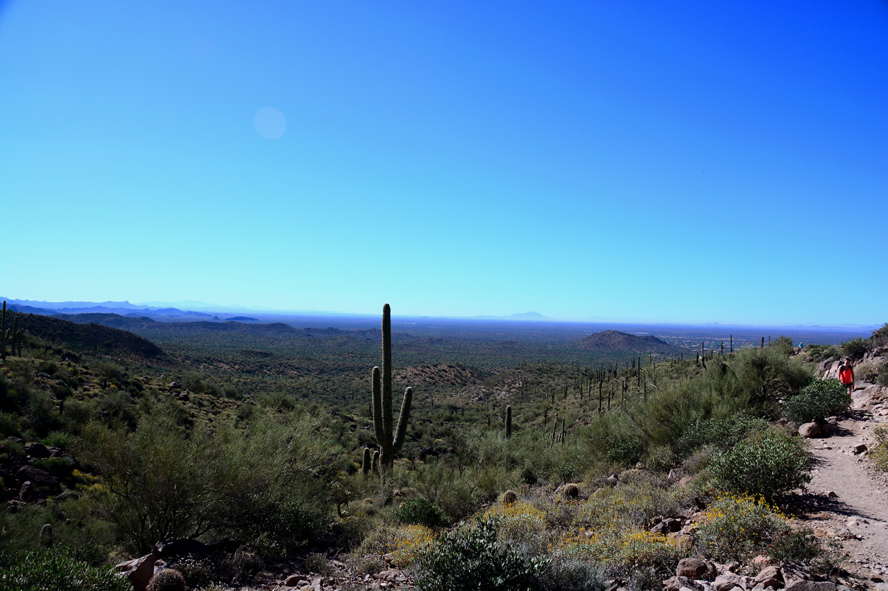 2016-03-24, 026, Hieroglyphic Trail, Tonto NF, AZ