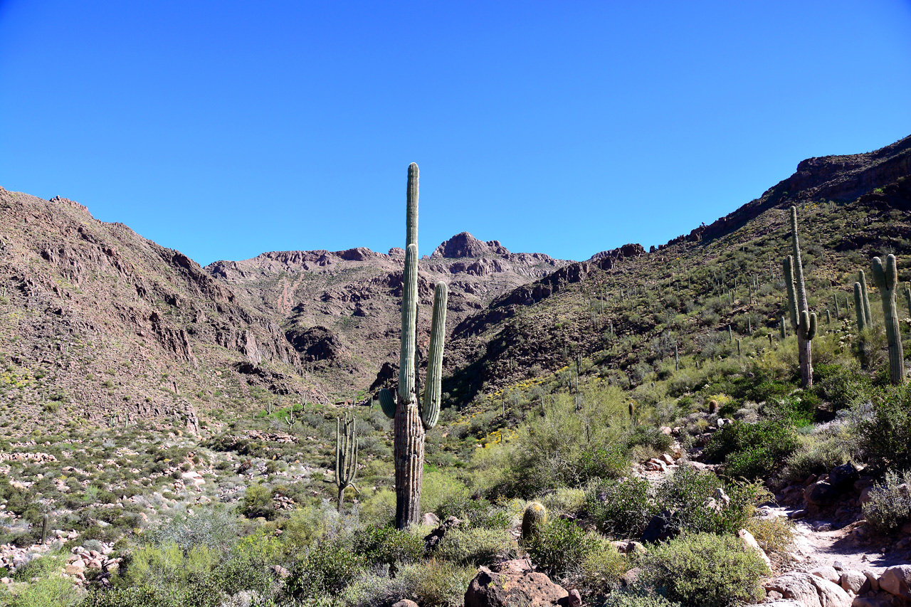 2016-03-24, 029, Hieroglyphic Trail, Tonto NF, AZ