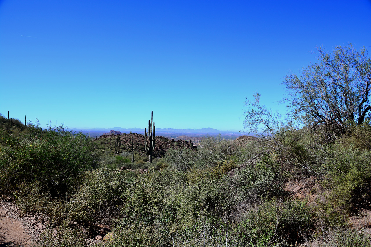 2016-03-24, 031, Hieroglyphic Trail, Tonto NF, AZ