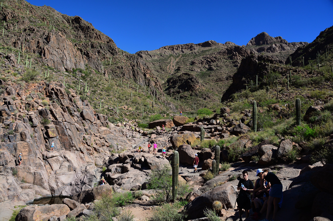 2016-03-24, 036, Hieroglyphic Trail, Tonto NF, AZ