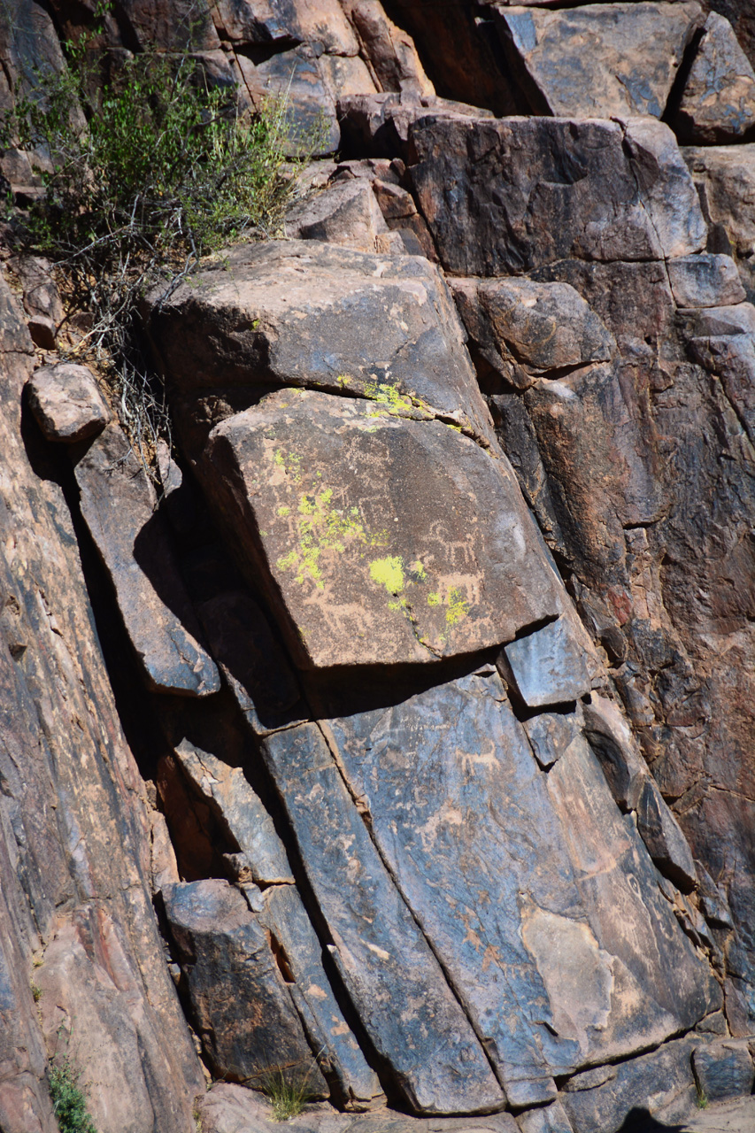 2016-03-24, 038, Hieroglyphic Trail, Tonto NF, AZ