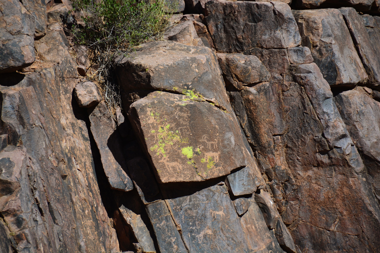 2016-03-24, 040, Hieroglyphic Trail, Tonto NF, AZ