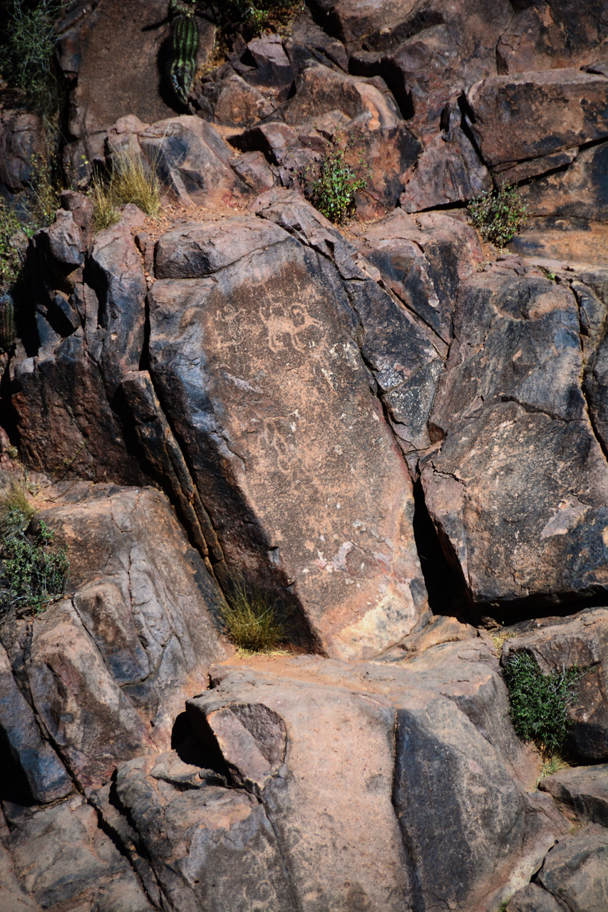 2016-03-24, 043, Hieroglyphic Trail, Tonto NF, AZ