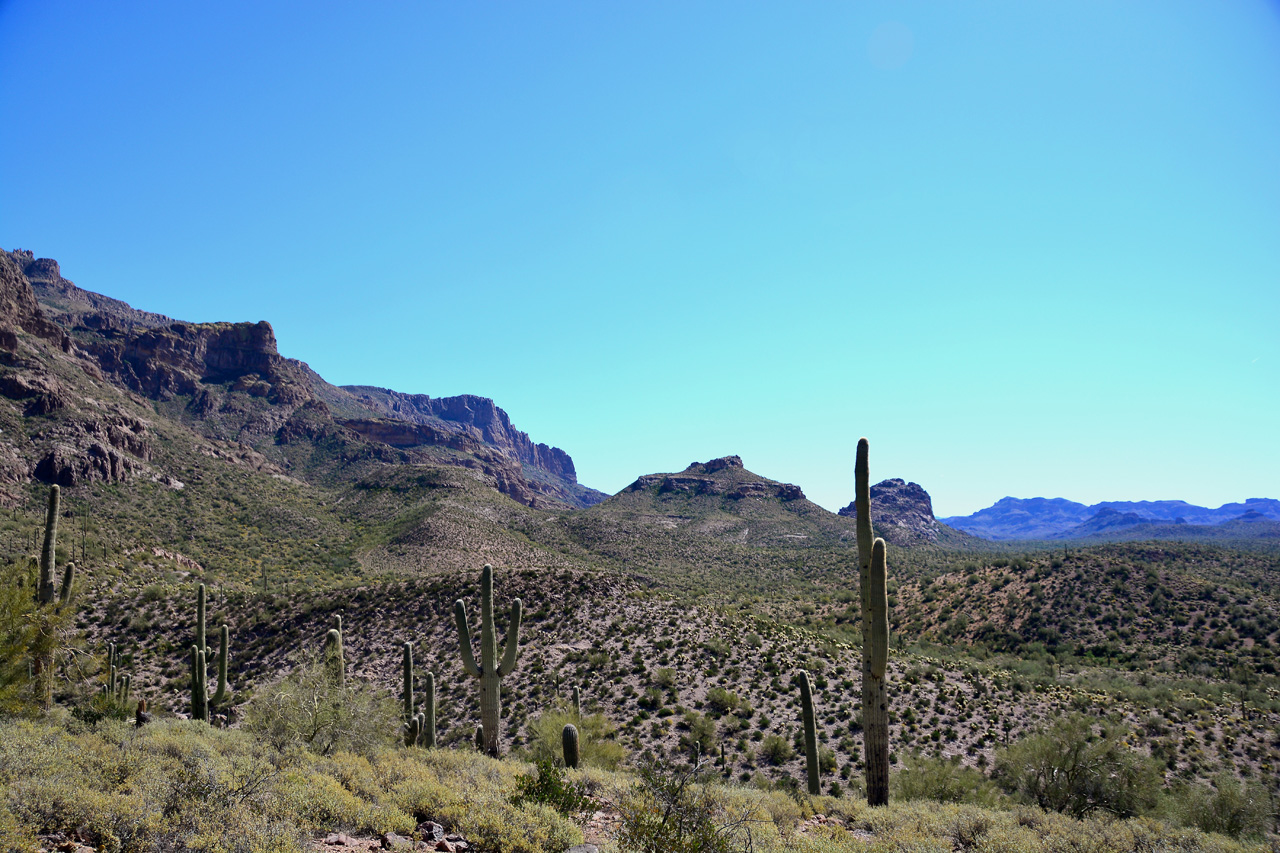 2016-03-24, 049, Hieroglyphic Trail, Tonto NF, AZ