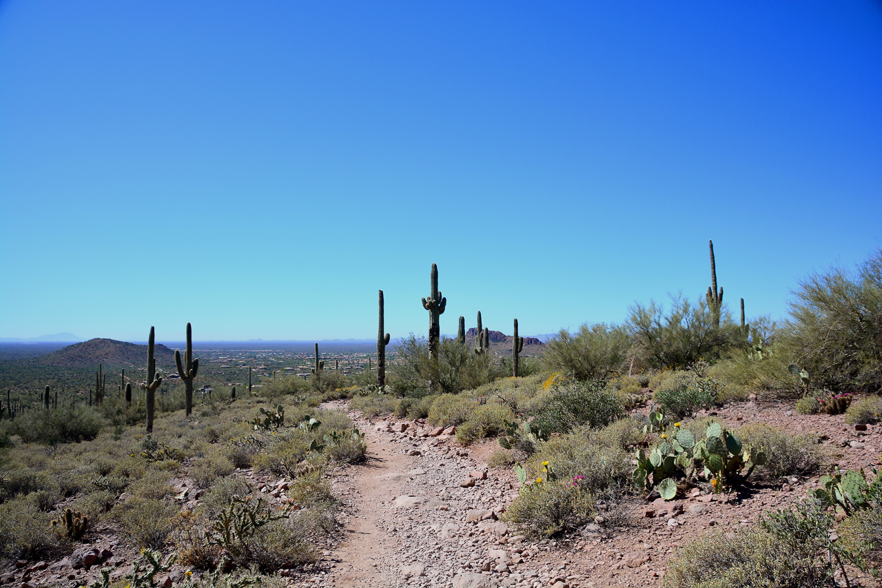 2016-03-24, 050, Hieroglyphic Trail, Tonto NF, AZ