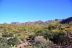 2016-03-24, 004, Hieroglyphic Trail, Tonto NF, AZ