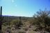 2016-03-24, 008, Hieroglyphic Trail, Tonto NF, AZ