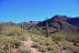 2016-03-24, 014, Hieroglyphic Trail, Tonto NF, AZ