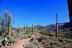 2016-03-24, 015, Hieroglyphic Trail, Tonto NF, AZ