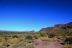 2016-03-24, 019, Hieroglyphic Trail, Tonto NF, AZ