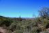 2016-03-24, 031, Hieroglyphic Trail, Tonto NF, AZ