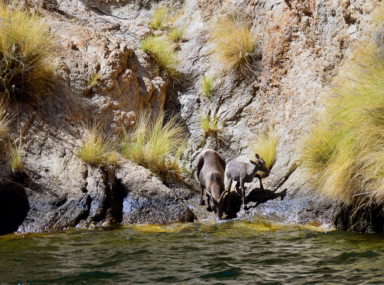 2016-04-09, 017, Canyon Lake on the Dolly Steamboat