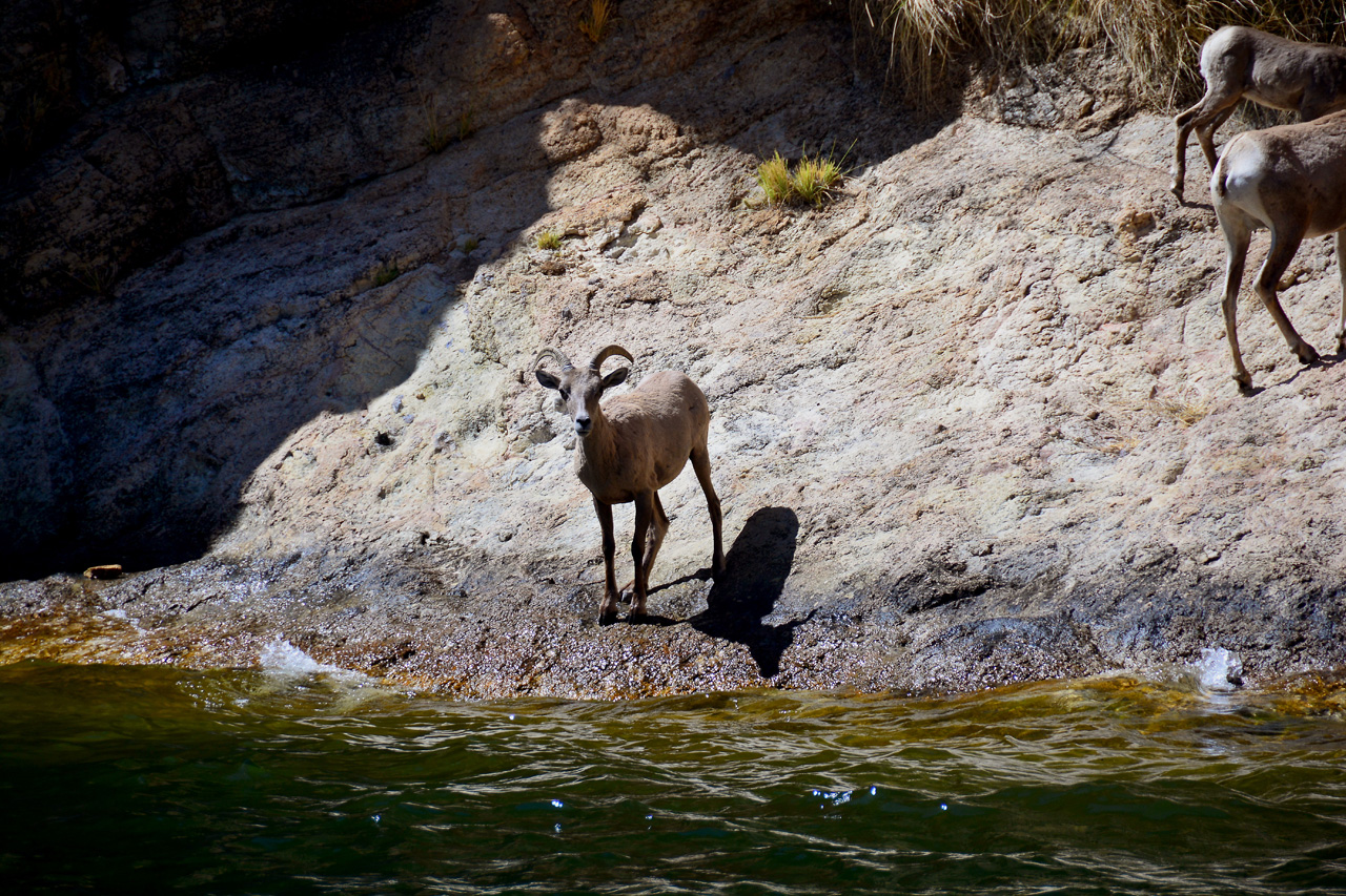 2016-04-09, 021, Canyon Lake on the Dolly Steamboat