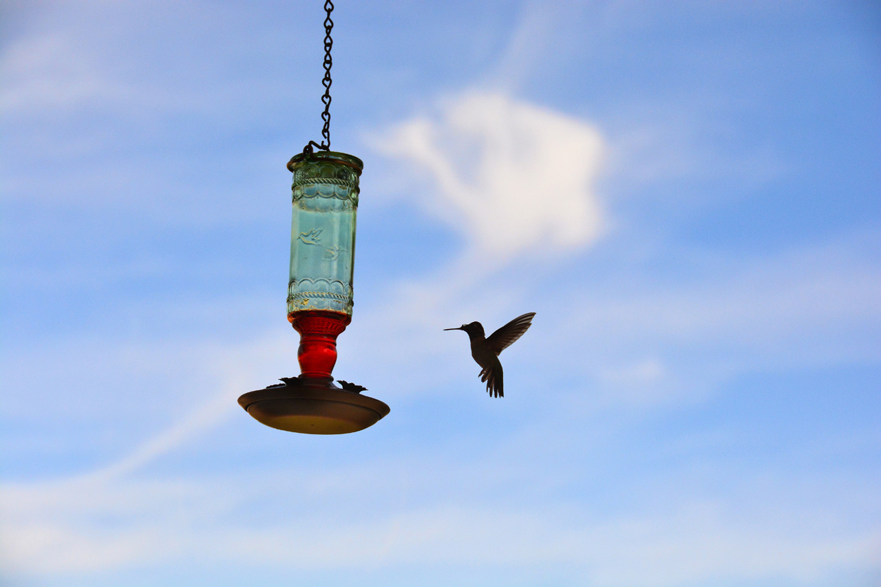 2015-10-30, 002, My Humming Bird Feeder