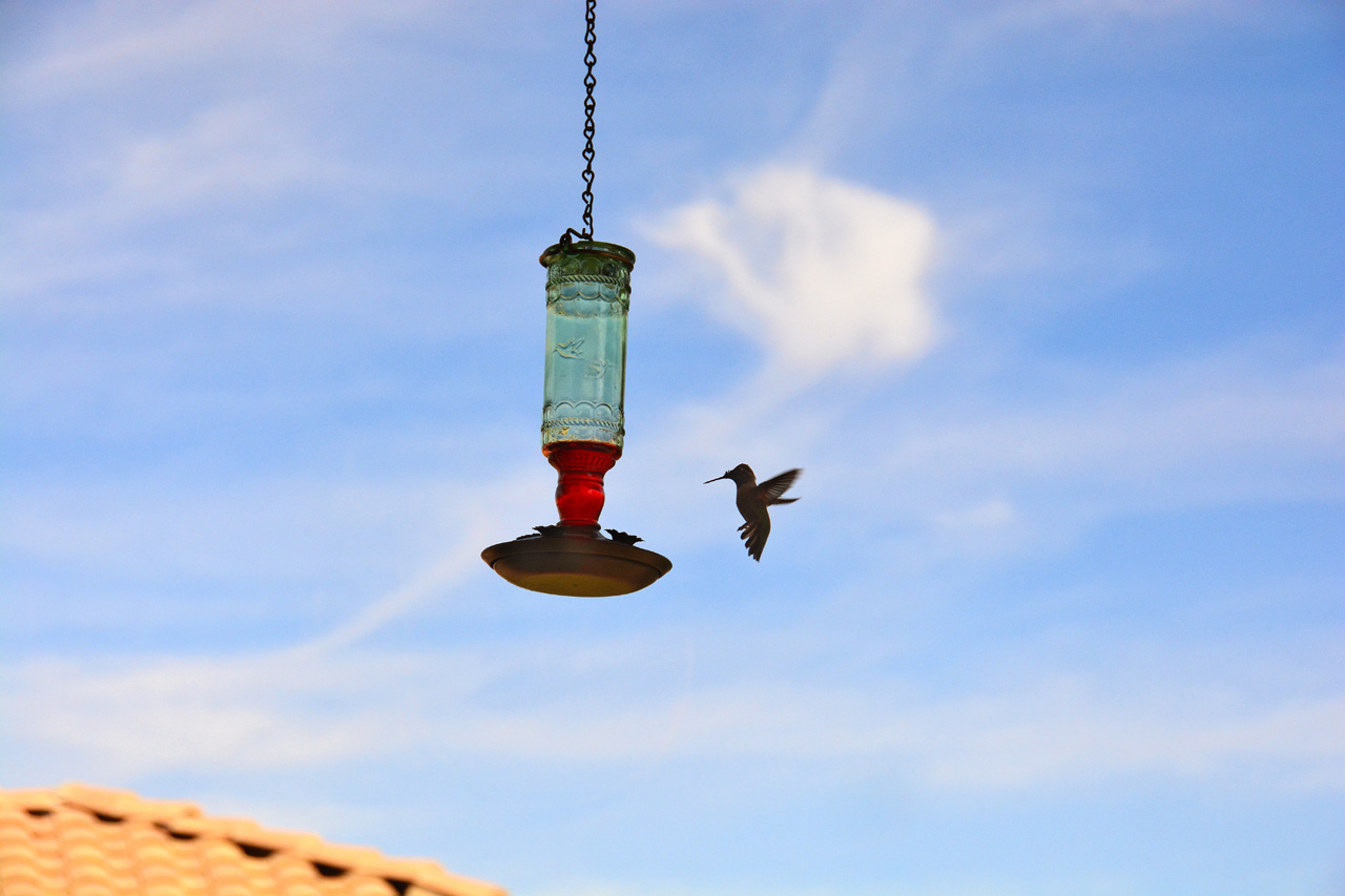 2015-10-30, 003, My Humming Bird Feeder