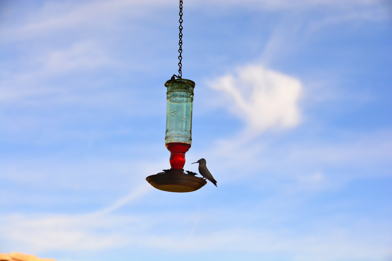 2015-10-30, 005, My Humming Bird Feeder