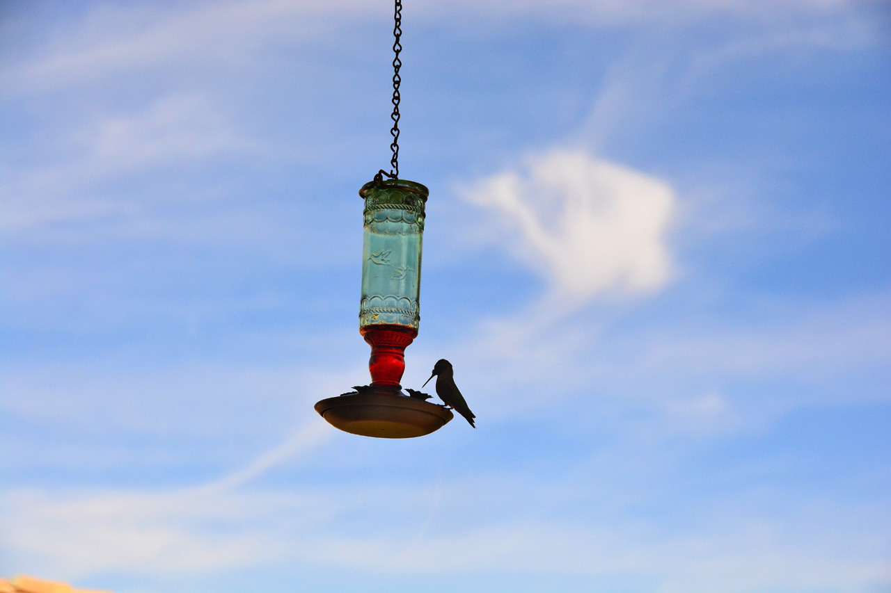 2015-10-30, 006, My Humming Bird Feeder