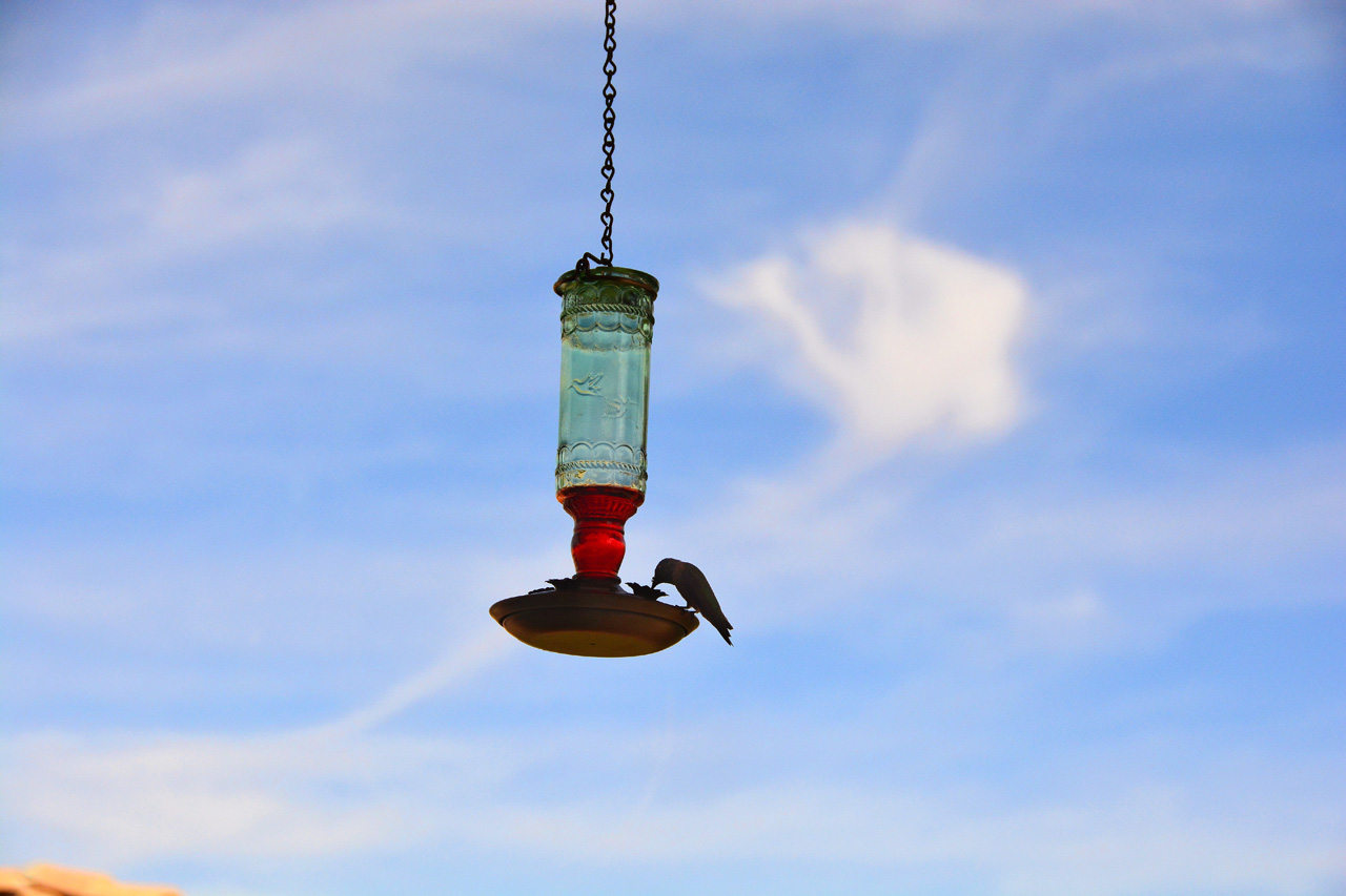 2015-10-30, 007, My Humming Bird Feeder