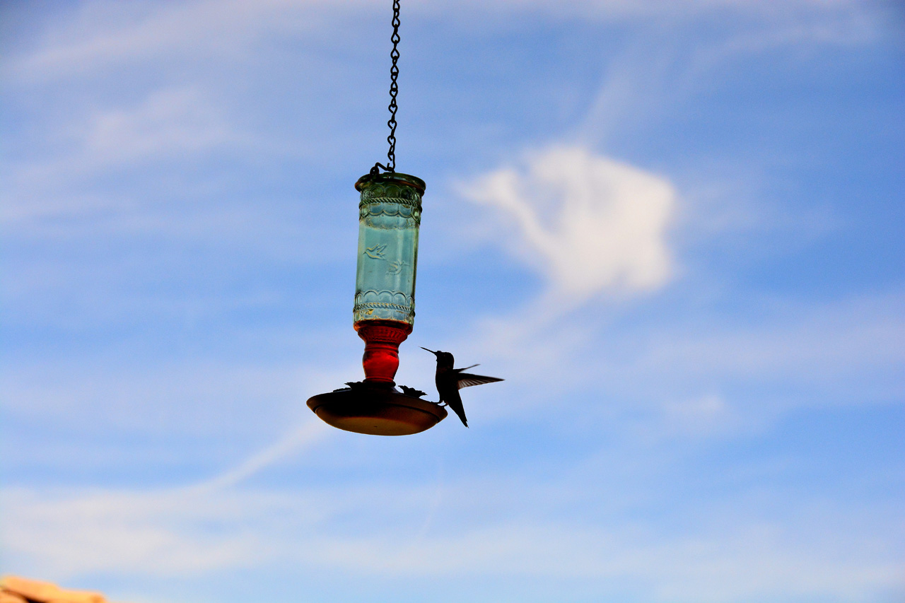 2015-10-30, 008, My Humming Bird Feeder