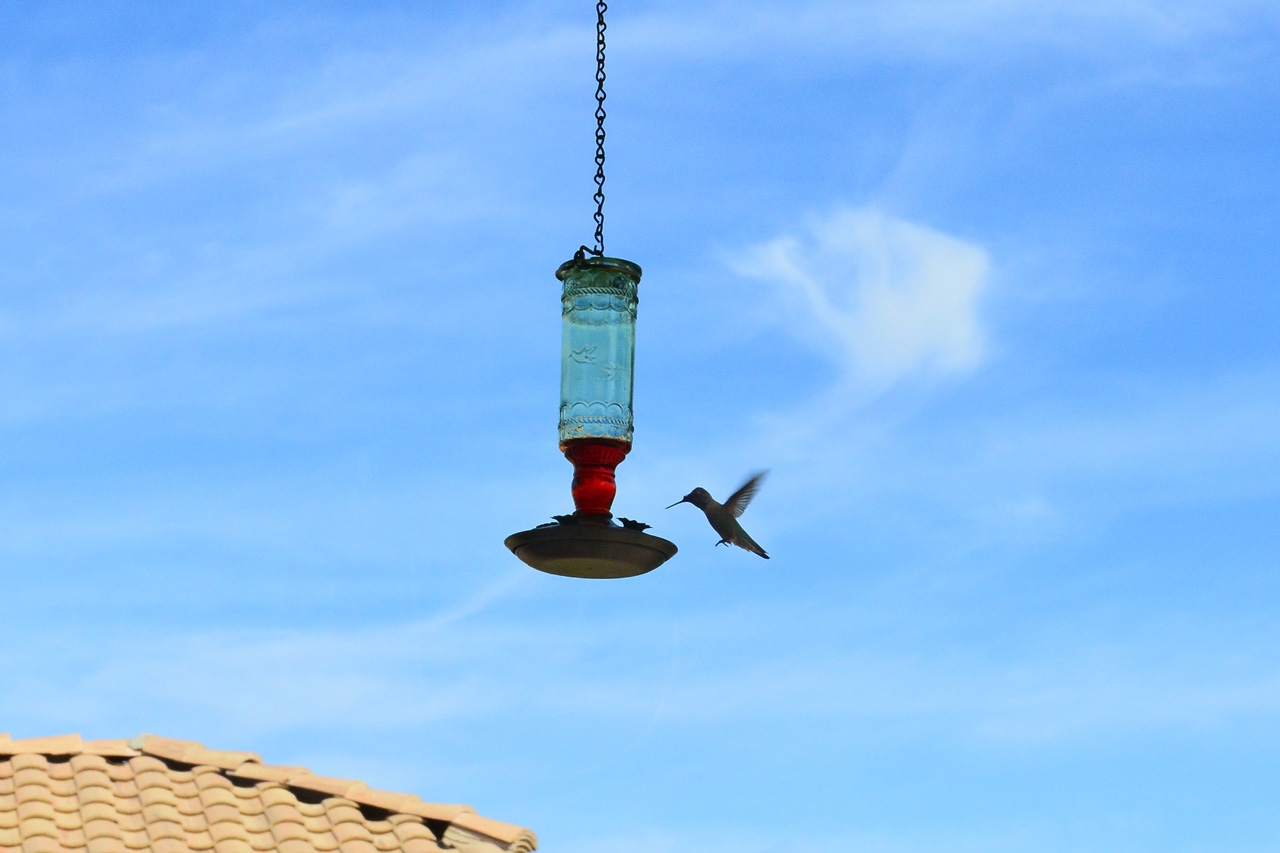 2015-10-30, 012, My Humming Bird Feeder