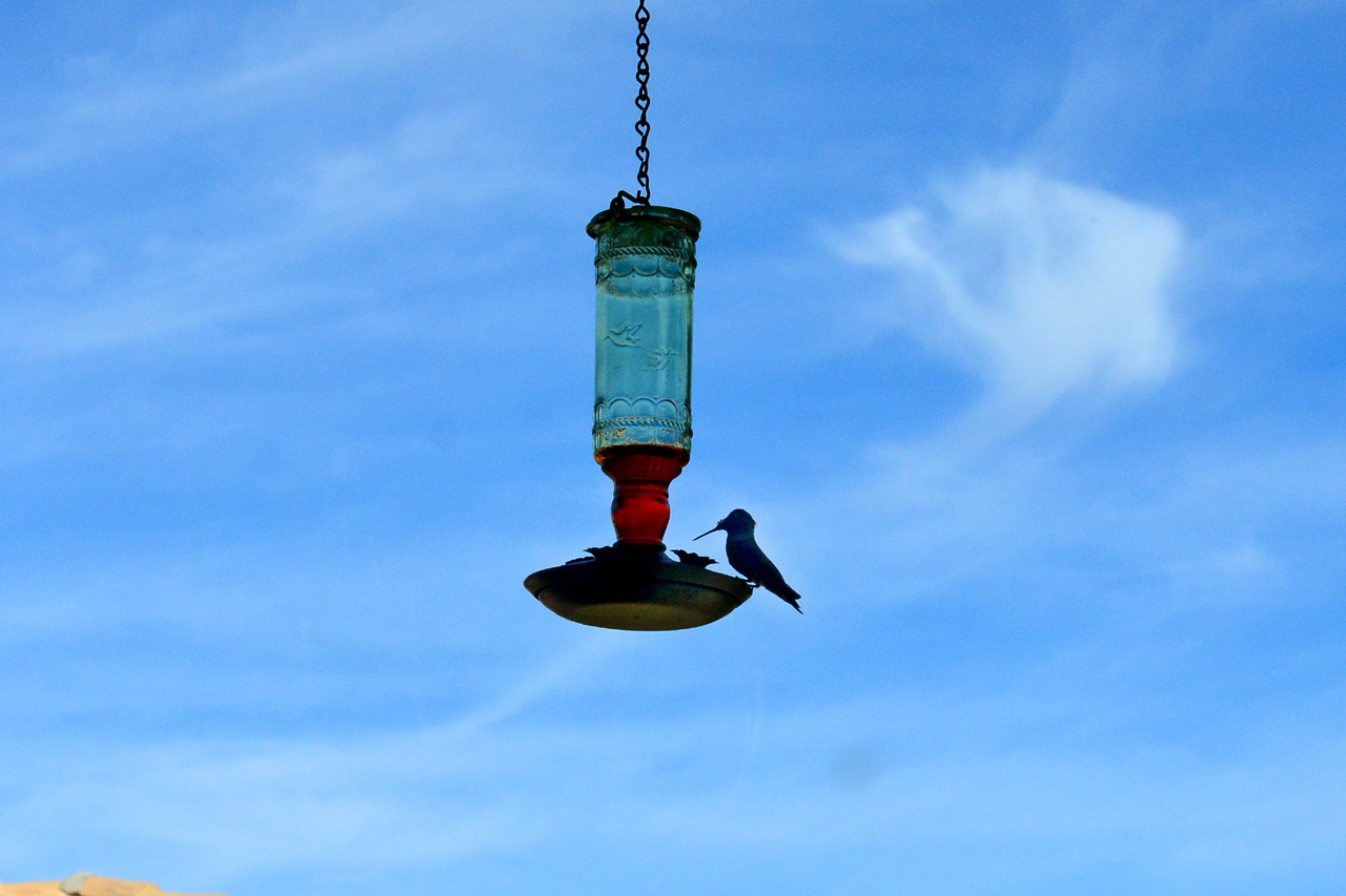 2015-10-30, 013, My Humming Bird Feeder