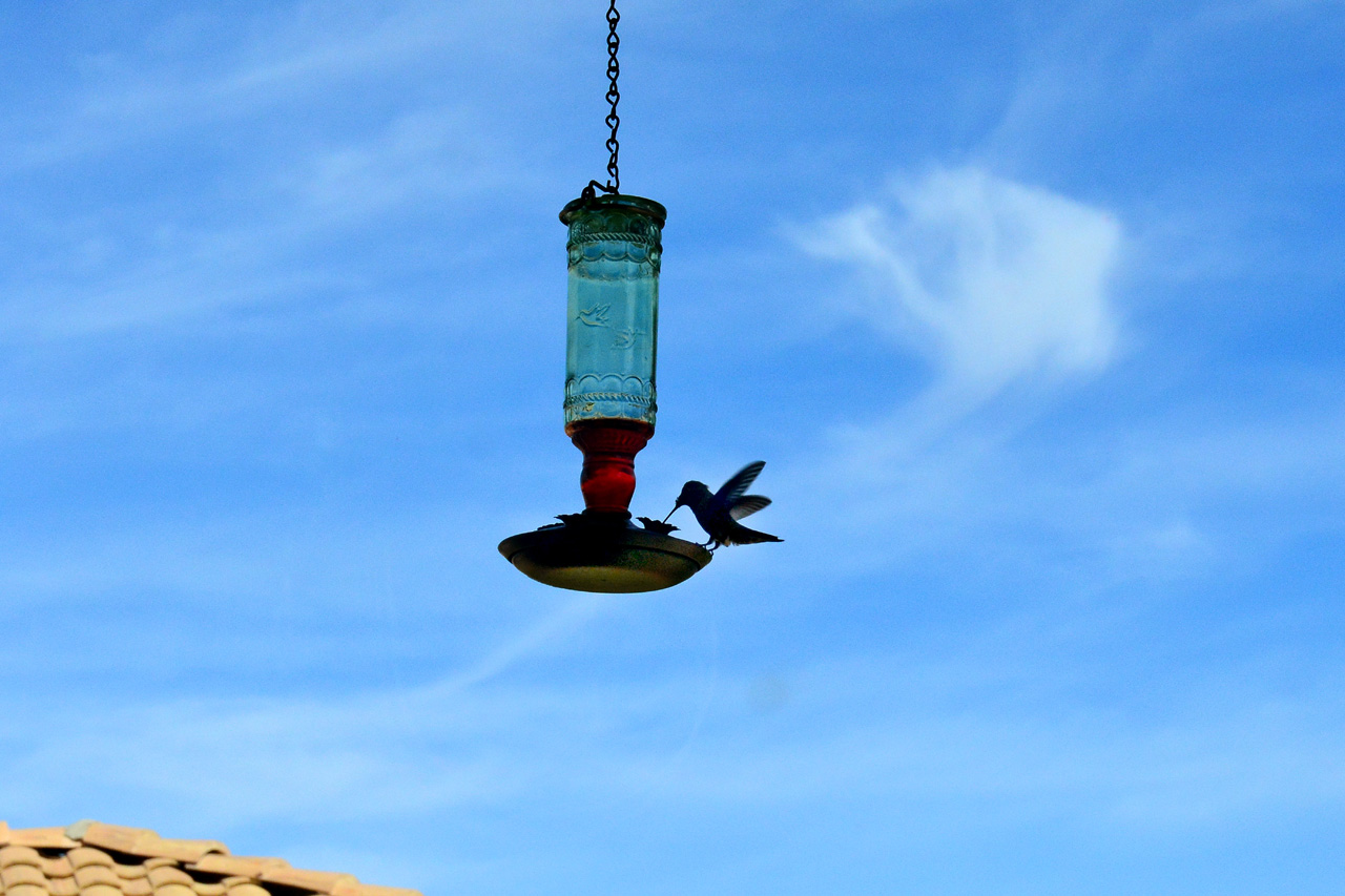 2015-10-30, 015, My Humming Bird Feeder