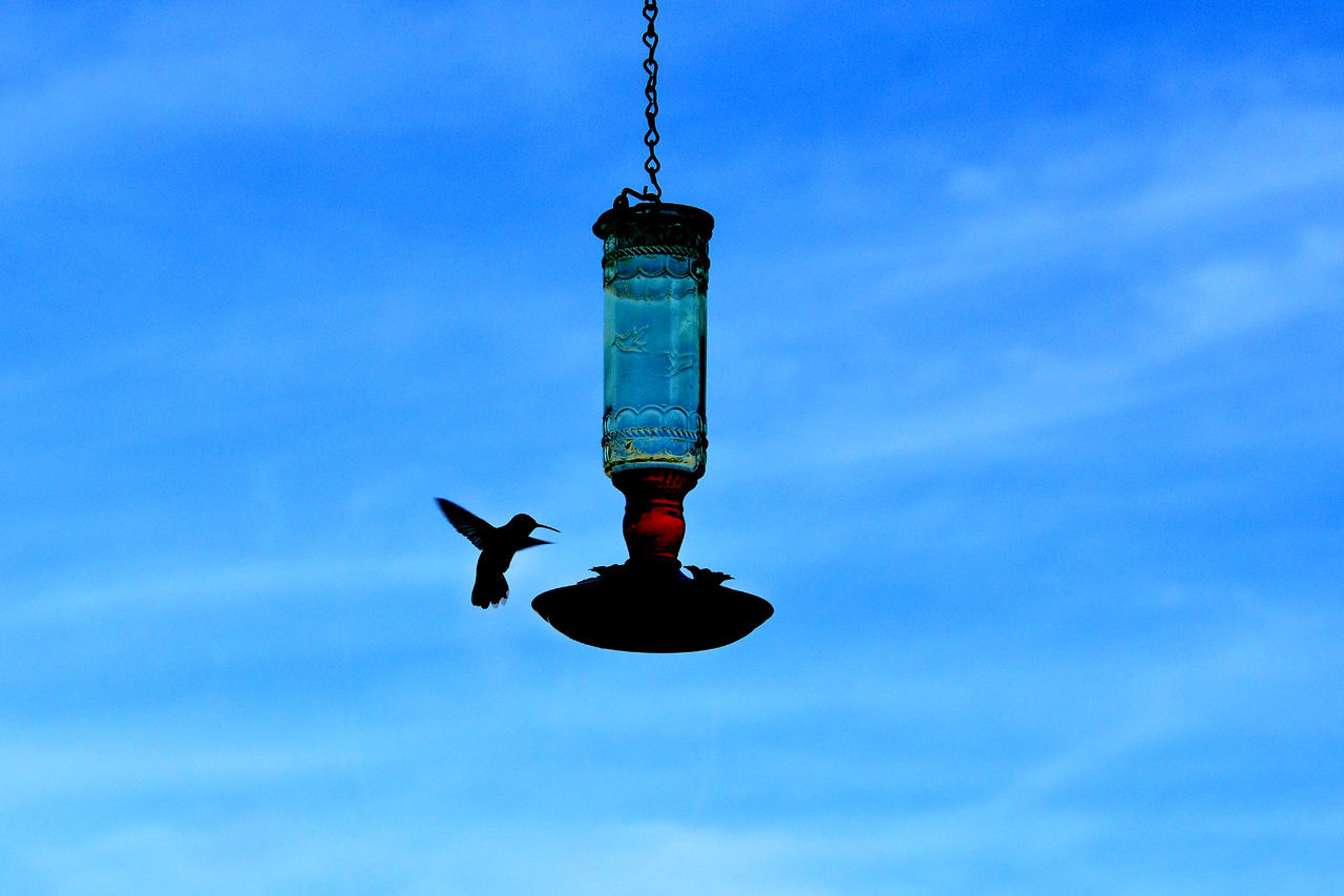 2015-10-30, 021, My Humming Bird Feeder