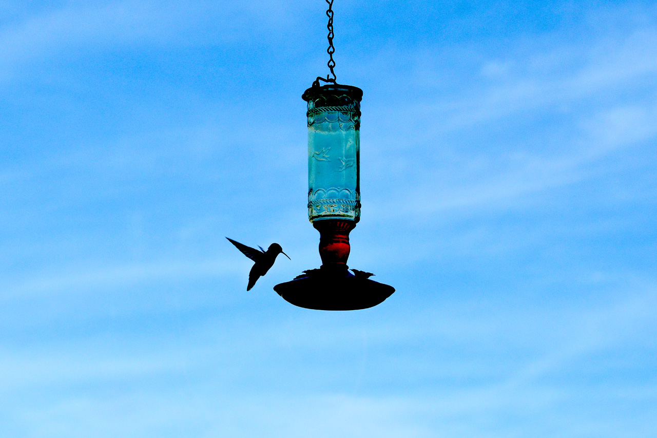 2015-10-30, 022, My Humming Bird Feeder