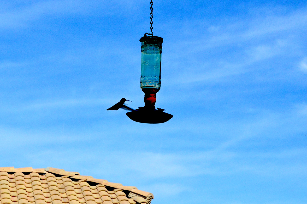 2015-10-30, 023, My Humming Bird Feeder