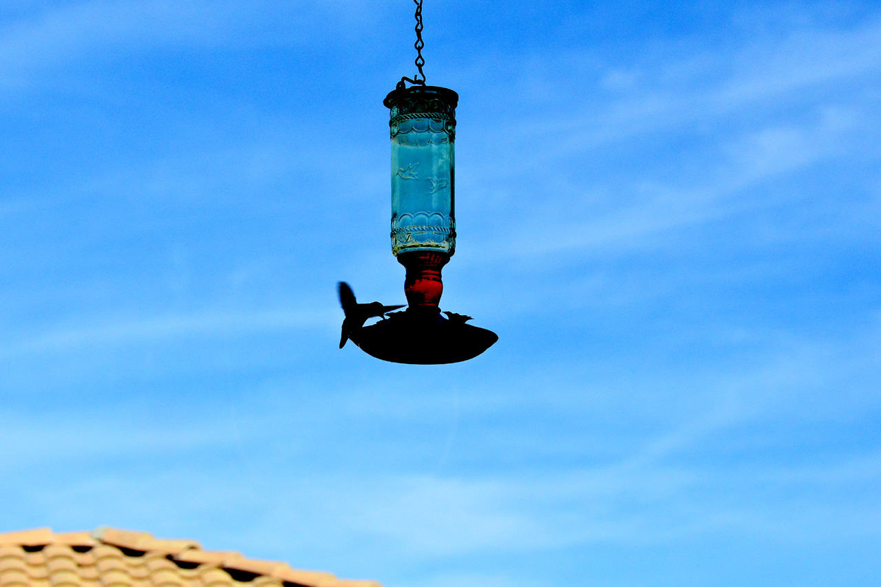 2015-10-30, 024, My Humming Bird Feeder