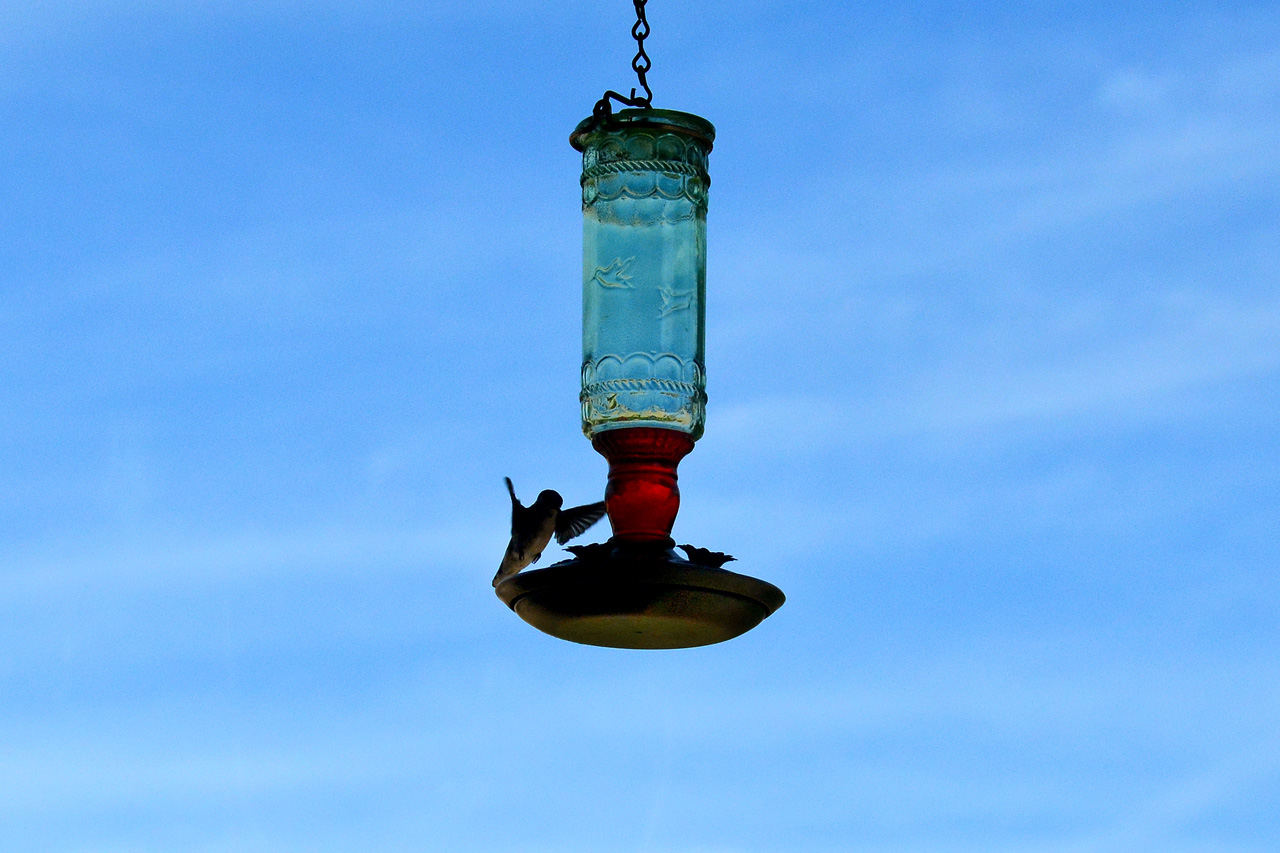 2015-10-30, 027, My Humming Bird Feeder