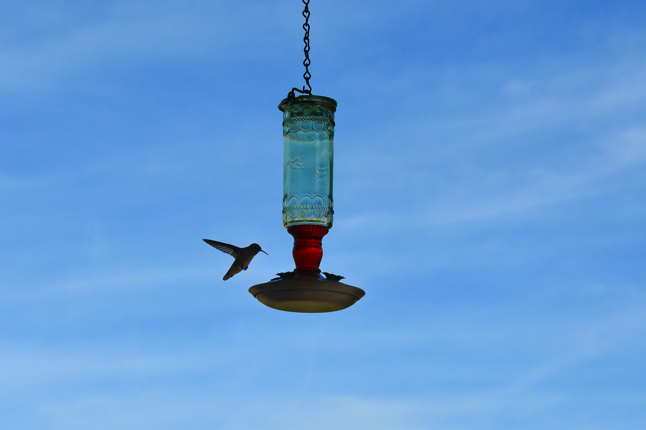 2015-10-30, 028, My Humming Bird Feeder