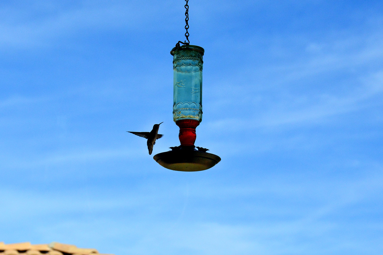 2015-10-30, 029, My Humming Bird Feeder