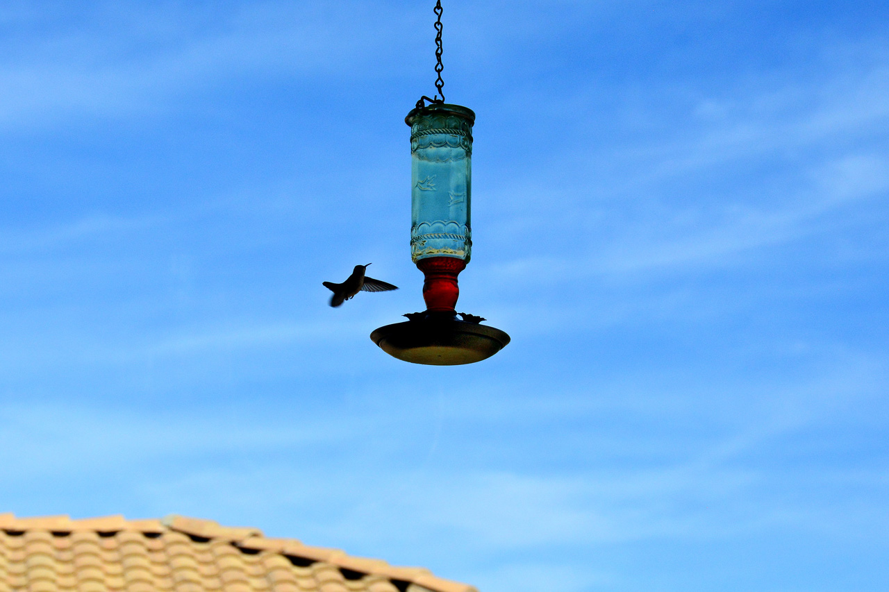 2015-10-30, 030, My Humming Bird Feeder