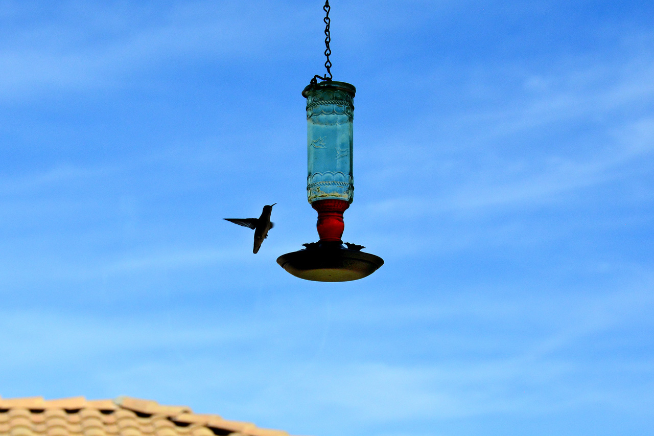 2015-10-30, 031, My Humming Bird Feeder