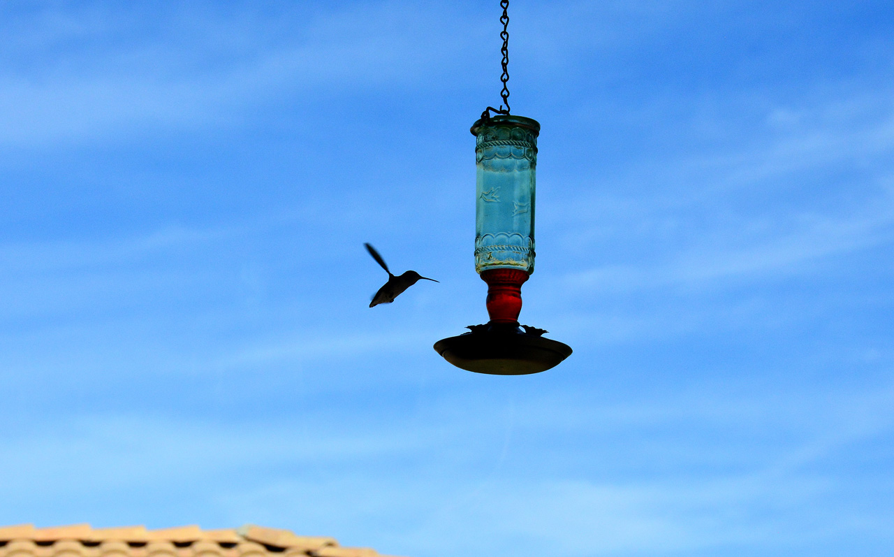 2015-10-30, 032, My Humming Bird Feeder