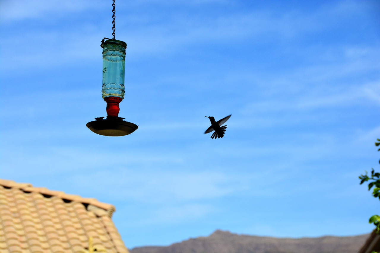 2015-10-30, 033, My Humming Bird Feeder