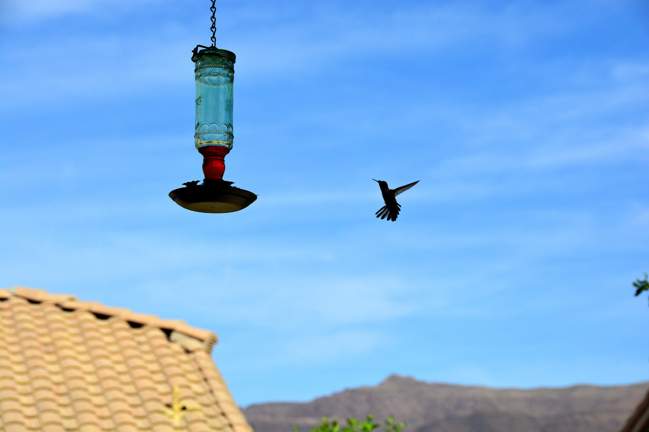 2015-10-30, 034, My Humming Bird Feeder